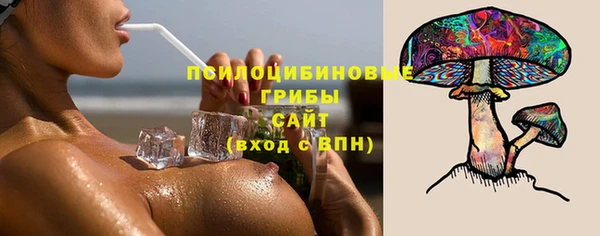 МДПВ Арсеньев