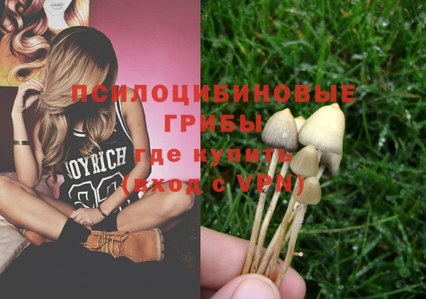 а пвп мука Армянск