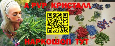 индика Пушкино