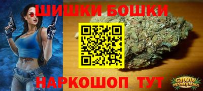 индика Пушкино