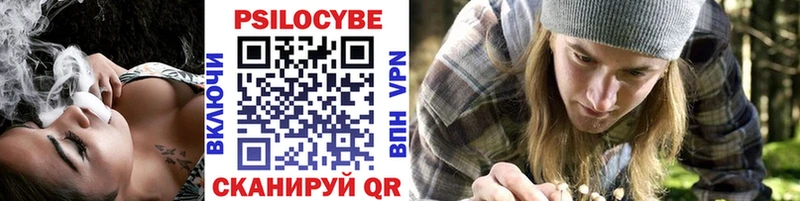 Псилоцибиновые грибы Psilocybine cubensis  где найти наркотики  Курган 