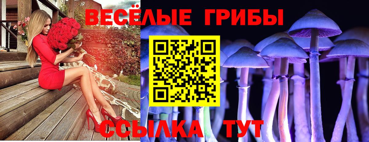 Псилоцибиновые грибы MAGIC MUSHROOMS Курган