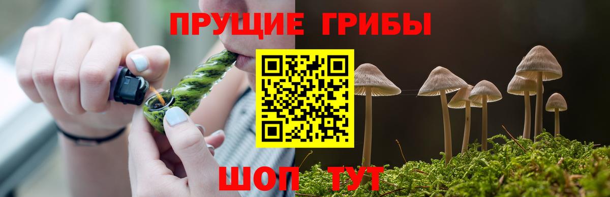 Псилоцибиновые грибы GOLDEN TEACHER  Псилоцибиновые грибы MAGIC MUSHROOMS  Курган  Вход с VPN 